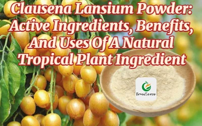 Порошок Clausena Lansium: активні інгредієнти, переваги та використання інгре...